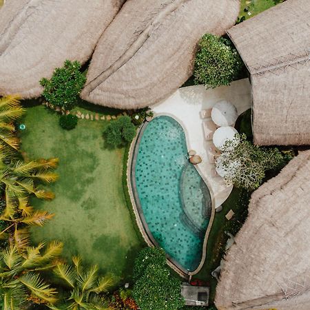 Villa Omah Padi Ubud Eksteriør billede
