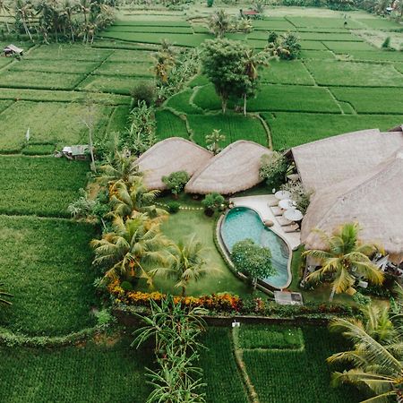 Villa Omah Padi Ubud Eksteriør billede