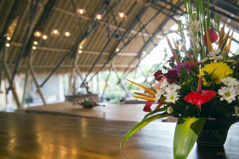 Villa Omah Padi Ubud Eksteriør billede