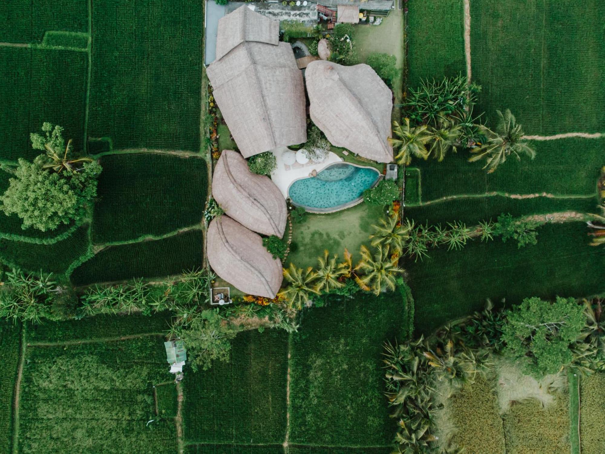 Villa Omah Padi Ubud Eksteriør billede